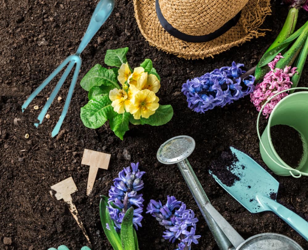 Spring Savings - The Home Depot Spring Savings - The Home Depot